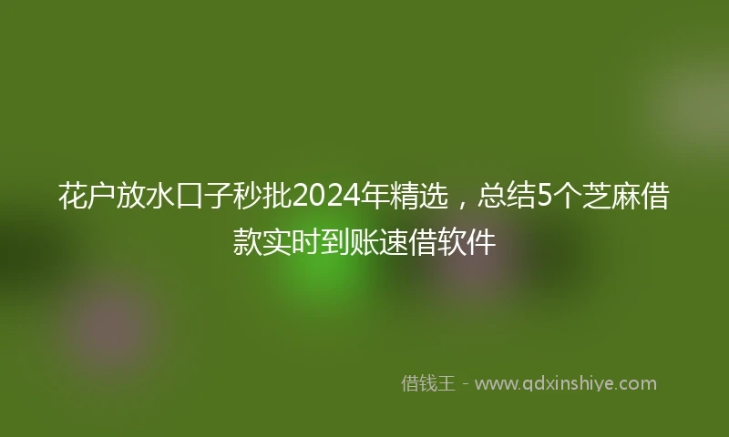 花户放水口子秒批2024年精选，总结5个芝麻借款实时到账速借软件