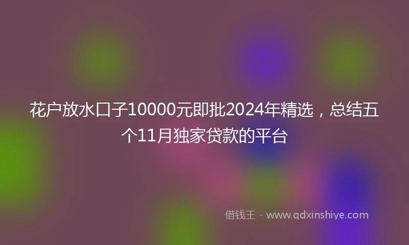 花户放水口子10000元即批2024年精选，总结五个11月独家贷款的平台