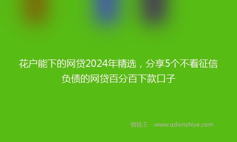 花户能下的网贷2024年精选，分享5个不看征信负债的网贷百分百下款口子
