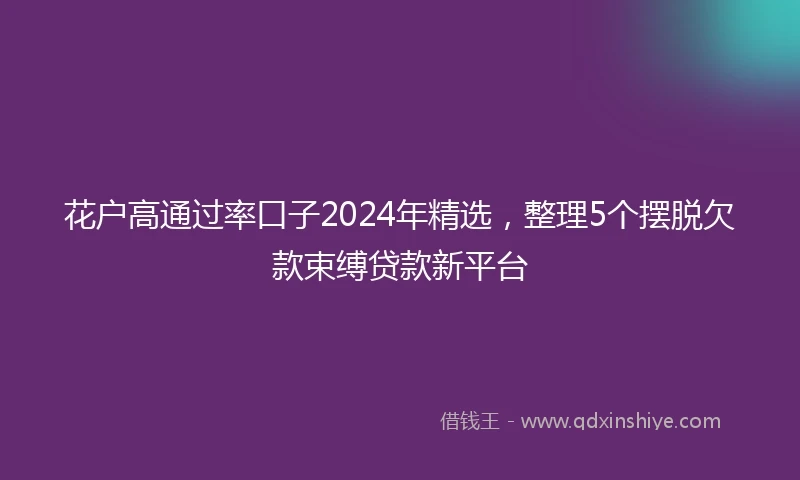 花户高通过率口子2024年精选，整理5个摆脱欠款束缚贷款新平台