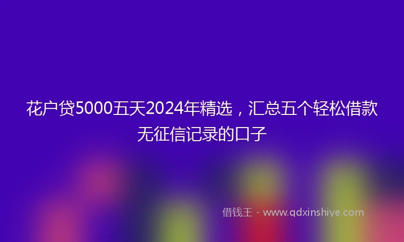 花户贷5000五天2024年精选，汇总五个轻松借款无征信记录的口子