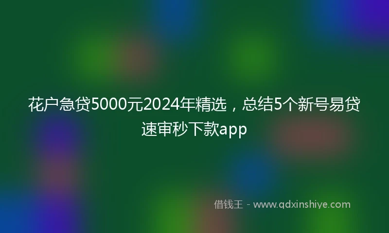 花户急贷5000元2024年精选，总结5个新号易贷速审秒下款app