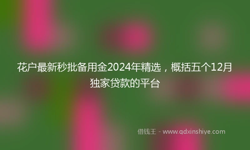 花户最新秒批备用金2024年精选，概括五个12月独家贷款的平台