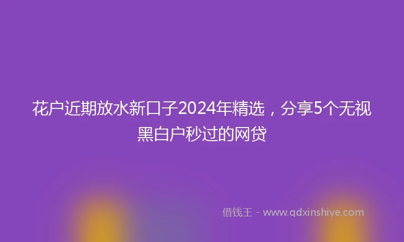 花户近期放水新口子2024年精选，分享5个无视黑白户秒过的网贷
