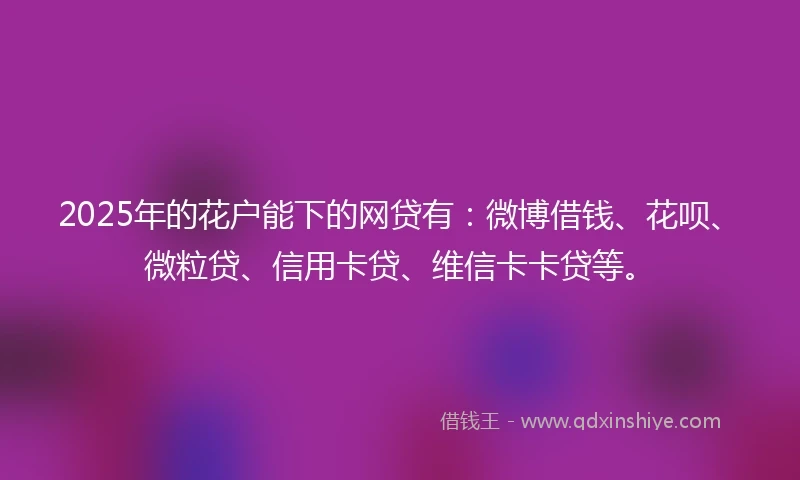 2025年的花户能下的网贷有：微博借钱、花呗、微粒贷、信用卡贷、维信卡卡贷等。