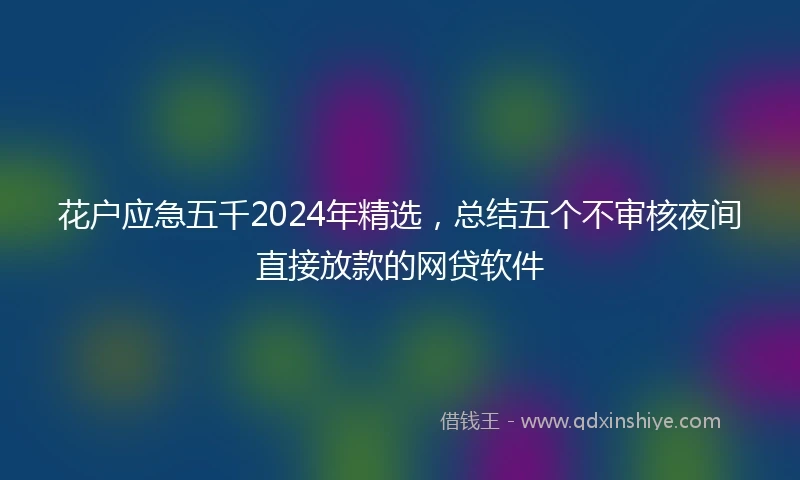 花户应急五千2024年精选,总结五个不审核夜间直接放款的网贷软件