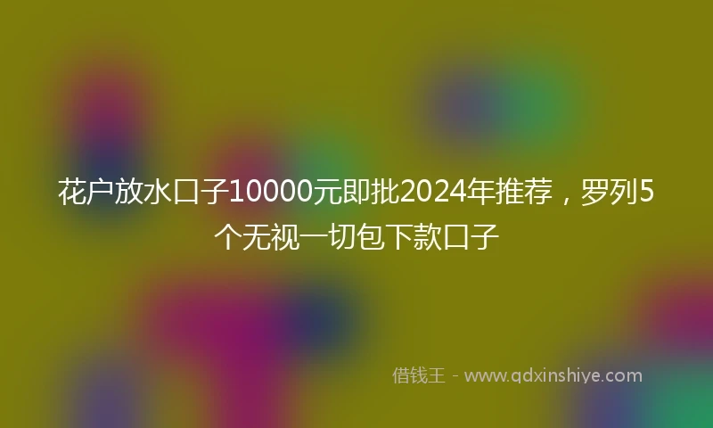 花户放水口子10000元即批2024年推荐，罗列5个无视一切包下款口子