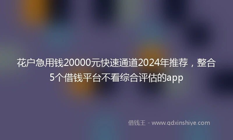 花户急用钱20000元快速通道2024年推荐，整合5个借钱平台不看综合评估的app