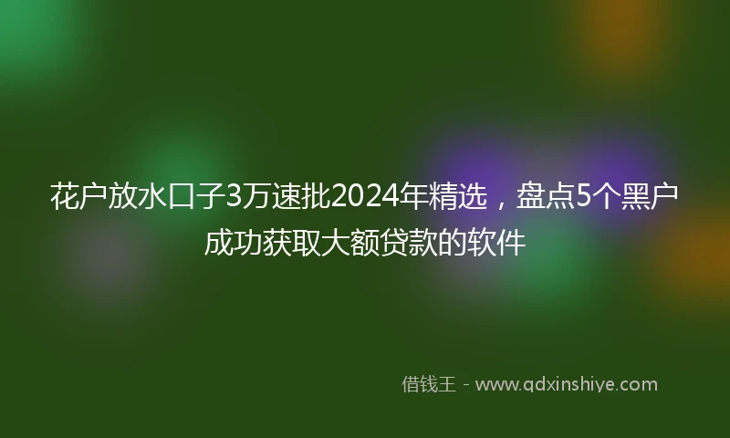 花户放水口子3万速批2024年精选，盘点5个黑户成功获取大额贷款的软件