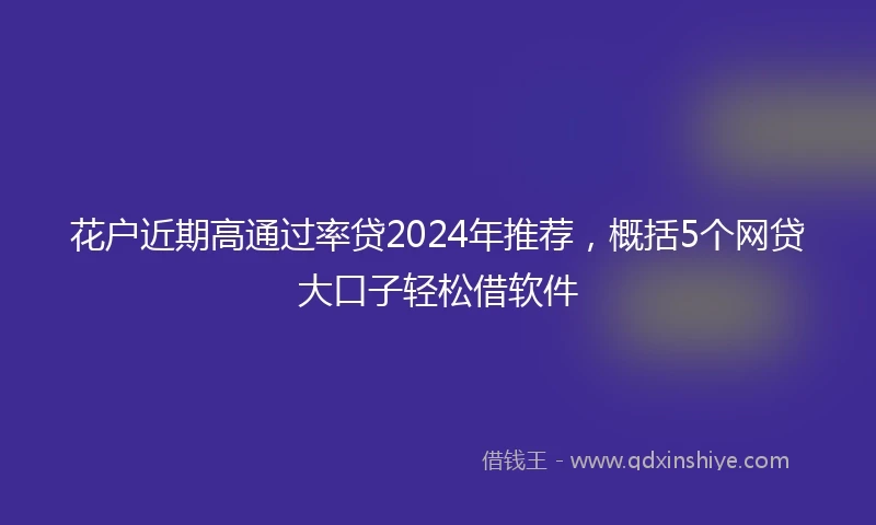 花户近期高通过率贷2024年推荐，概括5个网贷大口子轻松借软件