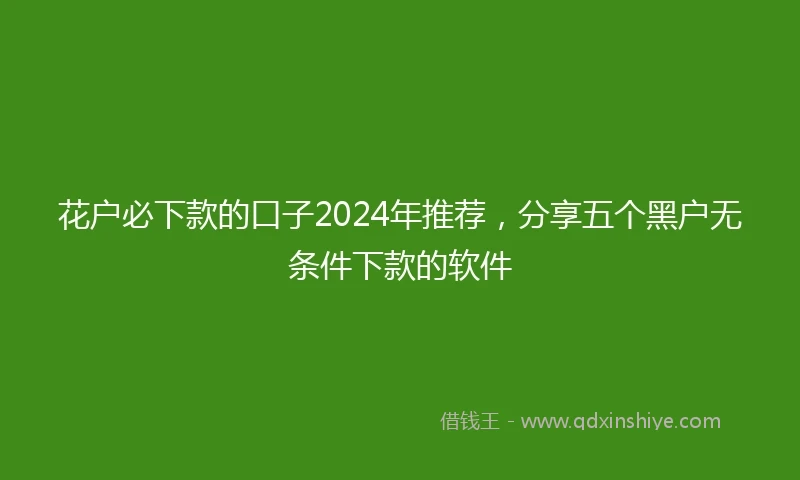 花户必下款的口子2024年推荐，分享五个黑户无条件下款的软件