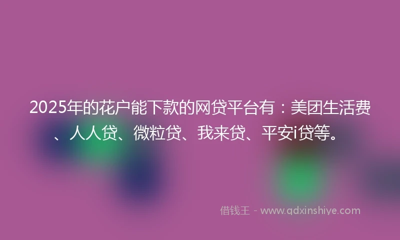 2025年的花户能下款的网贷平台有：美团生活费、人人贷、微粒贷、我来贷、平安i贷等。
