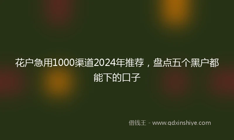 花户急用1000渠道2024年推荐，盘点五个黑户都能下的口子