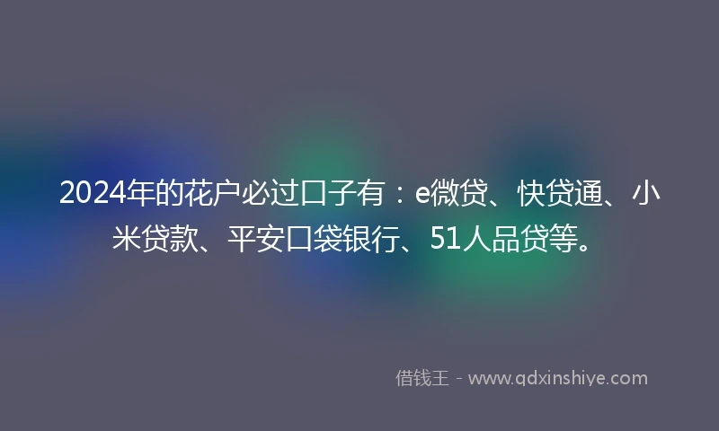 2024年的花户必过口子有：e微贷、快贷通、小米贷款、平安口袋银行、51人品贷等。