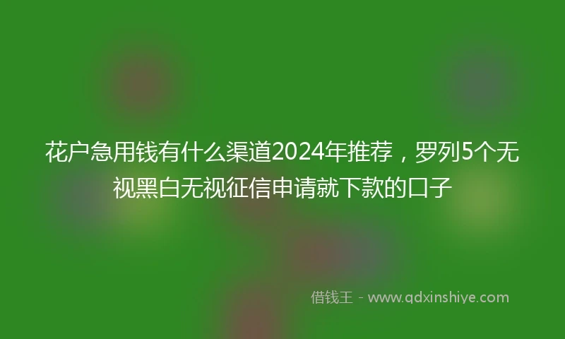 花户急用钱有什么渠道2024年推荐，罗列5个无视黑白无视征信申请就下款的口子