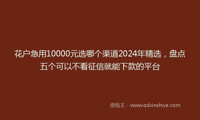 花户急用10000元选哪个渠道2024年精选，盘点五个可以不看征信就能下款的平台