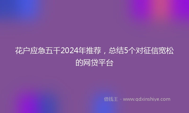 花户应急五千2024年推荐，总结5个对征信宽松的网贷平台
