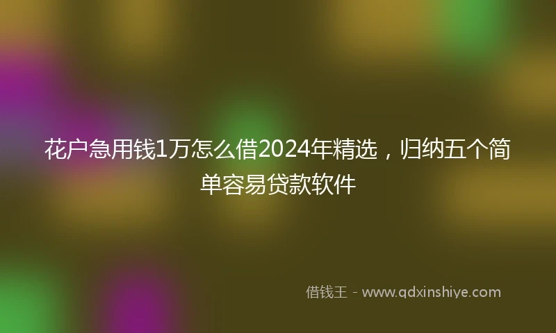花户急用钱1万怎么借2024年精选，归纳五个简单容易贷款软件