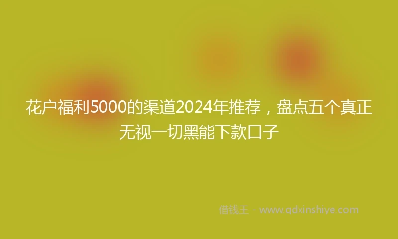 花户福利5000的渠道2024年推荐，盘点五个真正无视一切黑能下款口子