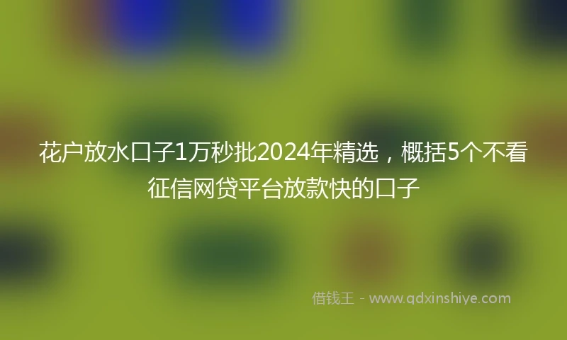 花户放水口子1万秒批2024年精选，概括5个不看征信网贷平台放款快的口子