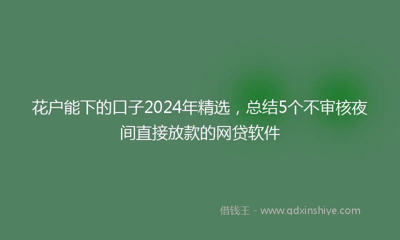 花户能下的口子2024年精选，总结5个不审核夜间直接放款的网贷软件