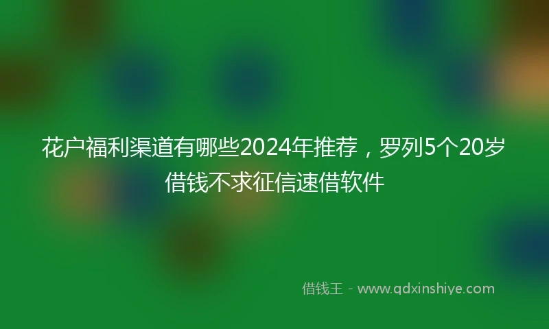 花户福利渠道有哪些2024年推荐，罗列5个20岁借钱不求征信速借软件