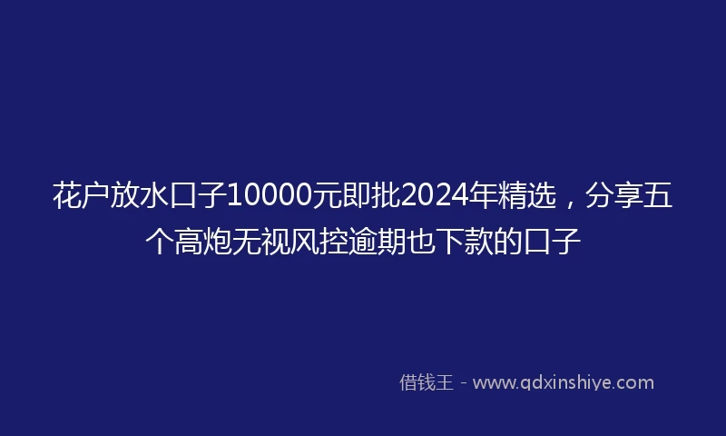花户放水口子10000元即批2024年精选，分享五个高炮无视风控逾期也下款的口子