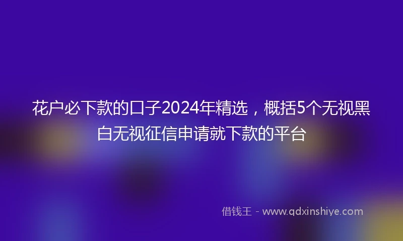 花户必下款的口子2024年精选，概括5个无视黑白无视征信申请就下款的平台