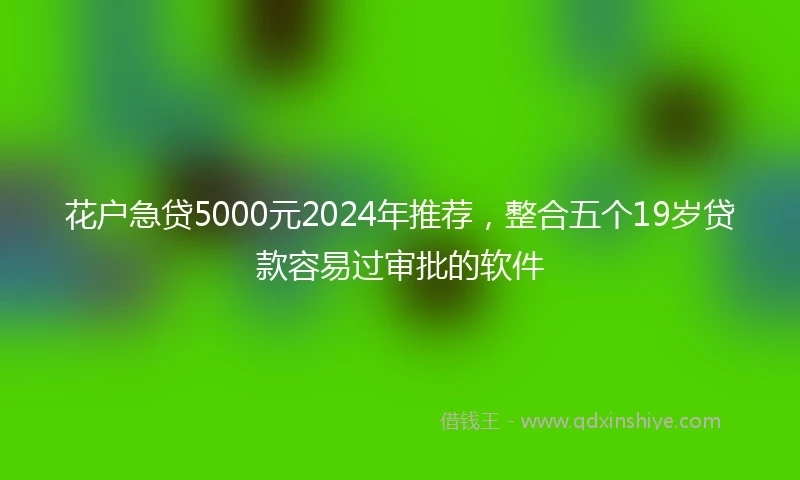 花户急贷5000元2024年推荐，整合五个19岁贷款容易过审批的软件