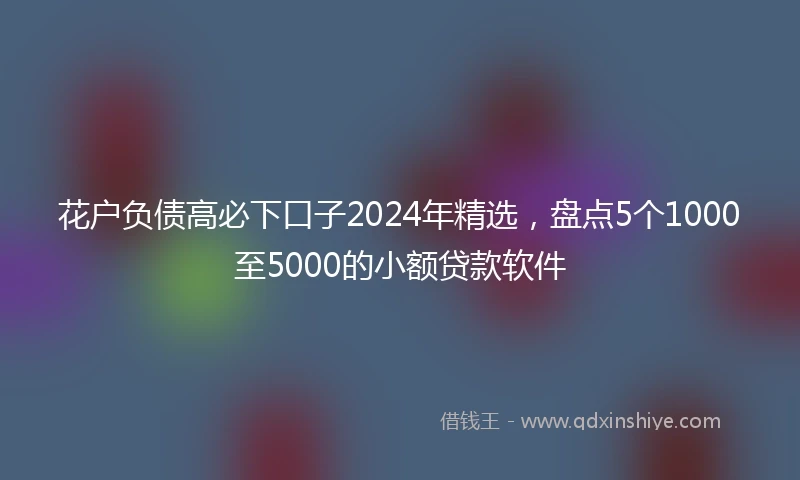 花户负债高必下口子2024年精选，盘点5个1000至5000的小额贷款软件