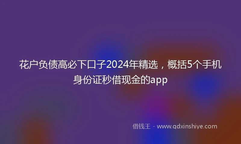 花户负债高必下口子2024年精选，概括5个手机身份证秒借现金的app