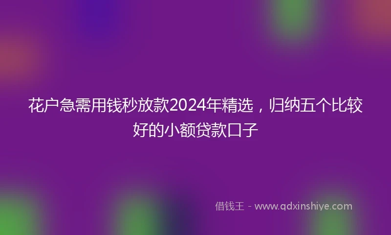 花户急需用钱秒放款2024年精选，归纳五个比较好的小额贷款口子