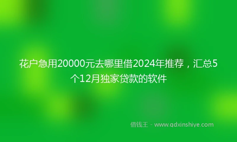 花户急用20000元去哪里借2024年推荐，汇总5个12月独家贷款的软件