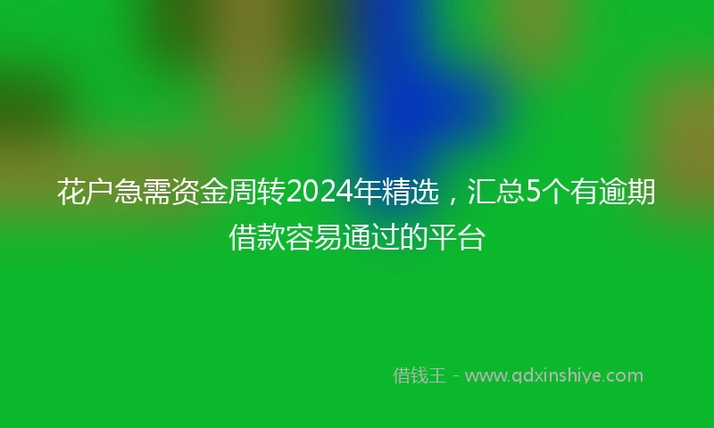 花户急需资金周转2024年精选，汇总5个有逾期借款容易通过的平台
