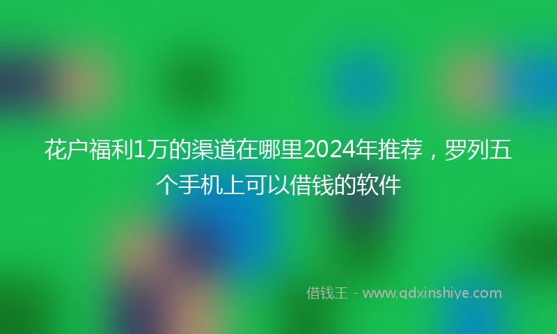 花户福利1万的渠道在哪里2024年推荐，罗列五个手机上可以借钱的软件