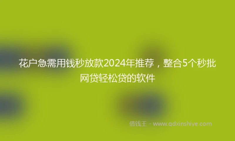 花户急需用钱秒放款2024年推荐，整合5个秒批网贷轻松贷的软件