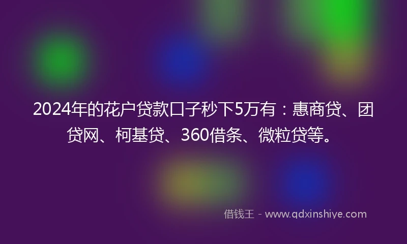 2024年的花户贷款口子秒下5万有：惠商贷、团贷网、柯基贷、360借条、微粒贷等。