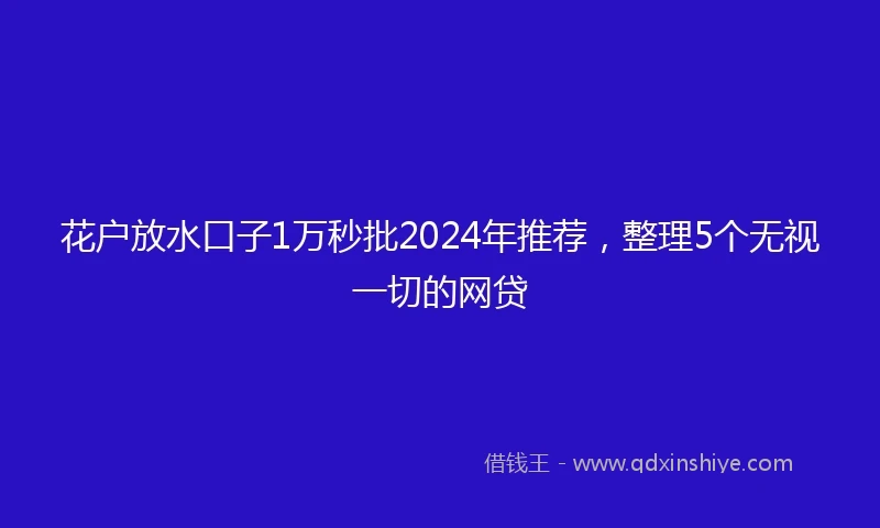花户放水口子1万秒批2024年推荐，整理5个无视一切的网贷
