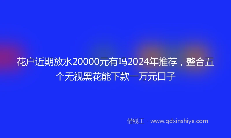 花户近期放水20000元有吗2024年推荐，整合五个无视黑花能下款一万元口子