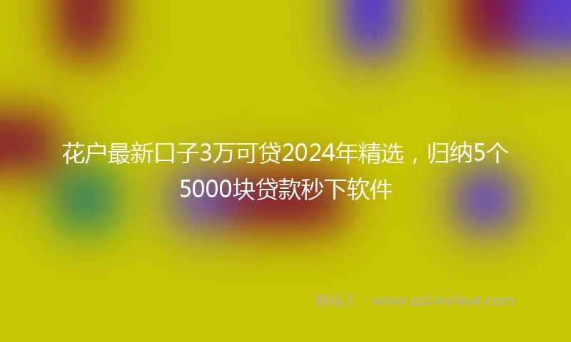 花户最新口子3万可贷2024年精选，归纳5个5000块贷款秒下软件