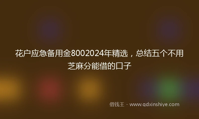花户应急备用金8002024年精选，总结五个不用芝麻分能借的口子