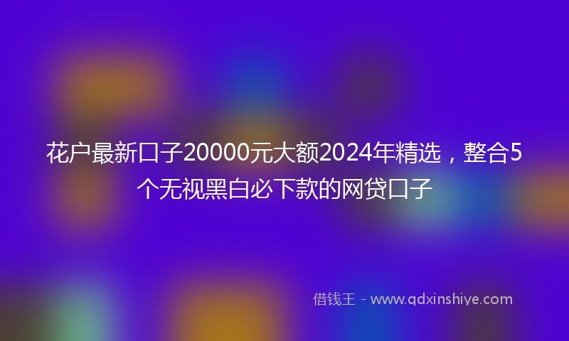 花户最新口子20000元大额2024年精选，整合5个无视黑白必下款的网贷口子