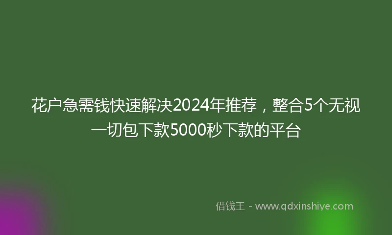 花户急需钱快速解决2024年推荐，整合5个无视一切包下款5000秒下款的平台