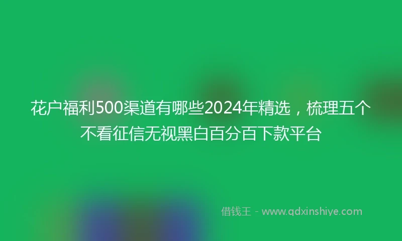 花户福利500渠道有哪些2024年精选，梳理五个不看征信无视黑白百分百下款平台