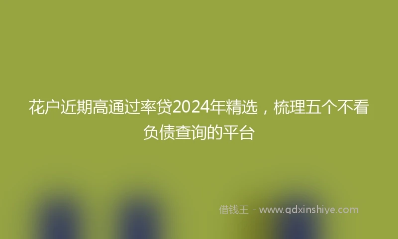 花户近期高通过率贷2024年精选，梳理五个不看负债查询的平台