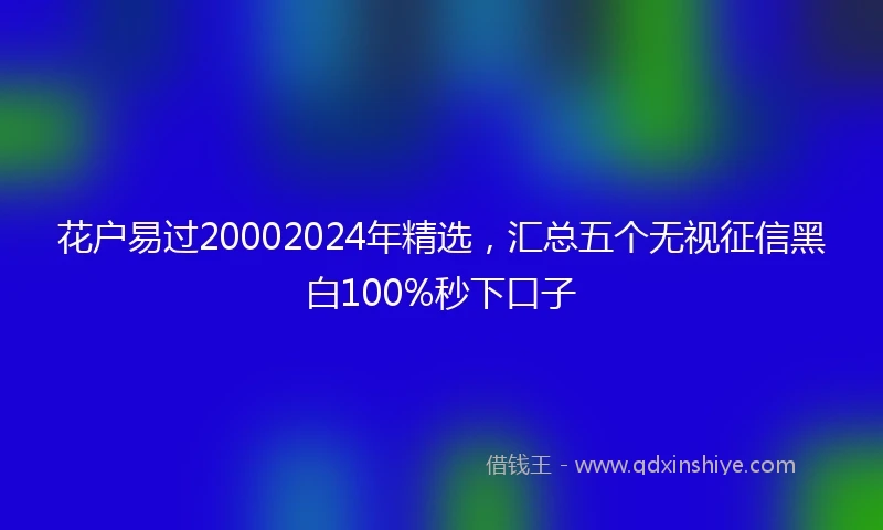 花户易过20002024年精选，汇总五个无视征信黑白100%秒下口子