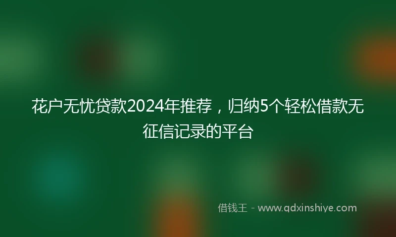 花户无忧贷款2024年推荐，归纳5个轻松借款无征信记录的平台
