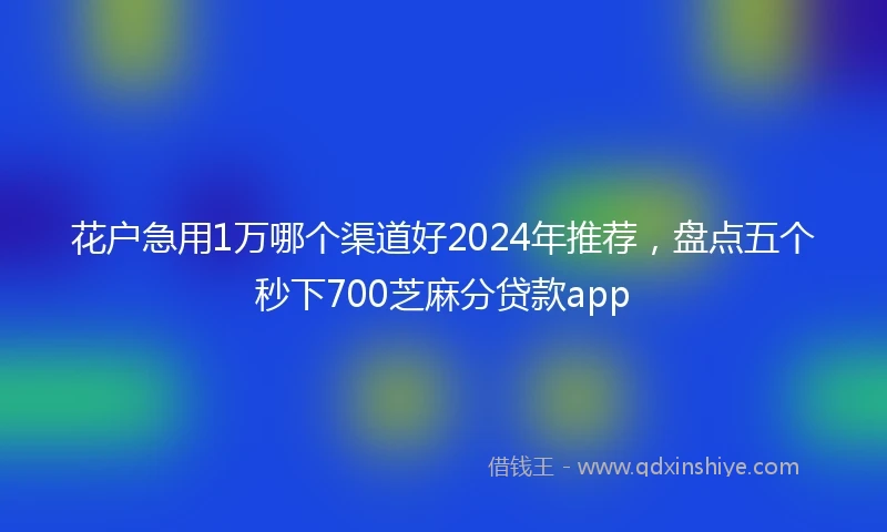花户急用1万哪个渠道好2024年推荐，盘点五个秒下700芝麻分贷款app