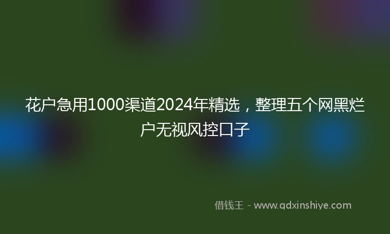 花户急用1000渠道2024年精选，整理五个网黑烂户无视风控口子