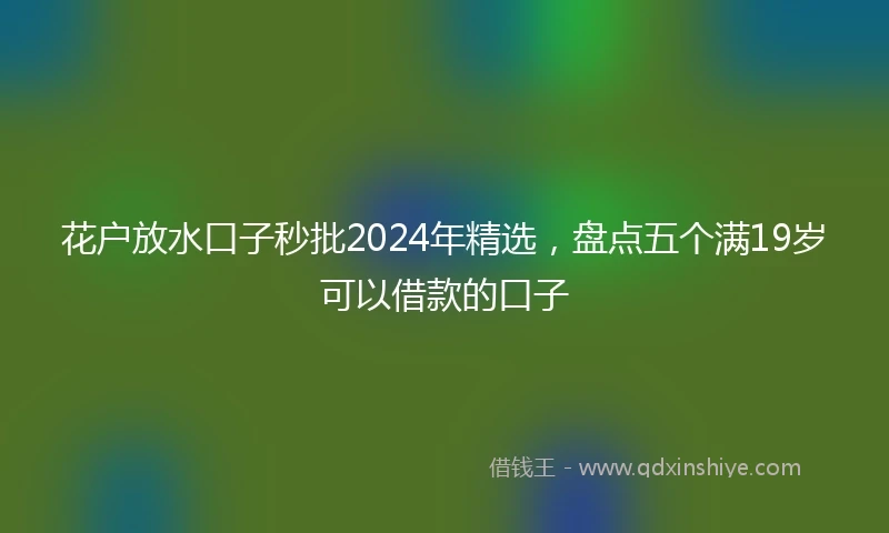 花户放水口子秒批2024年精选，盘点五个满19岁可以借款的口子
